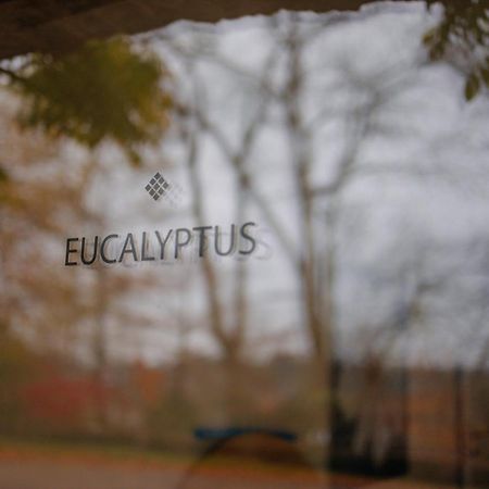 Chambres D'Hotes Eucalyptus Et Glycine 格瓦尔 外观 照片